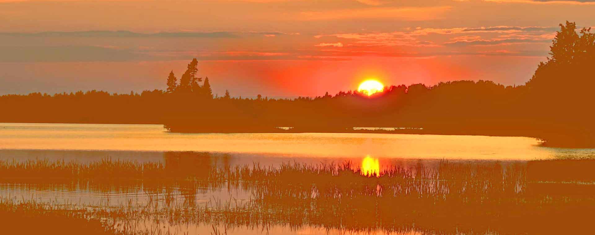 Ferienanlage Netzener See 4 Ferienwohnungen Netzener See