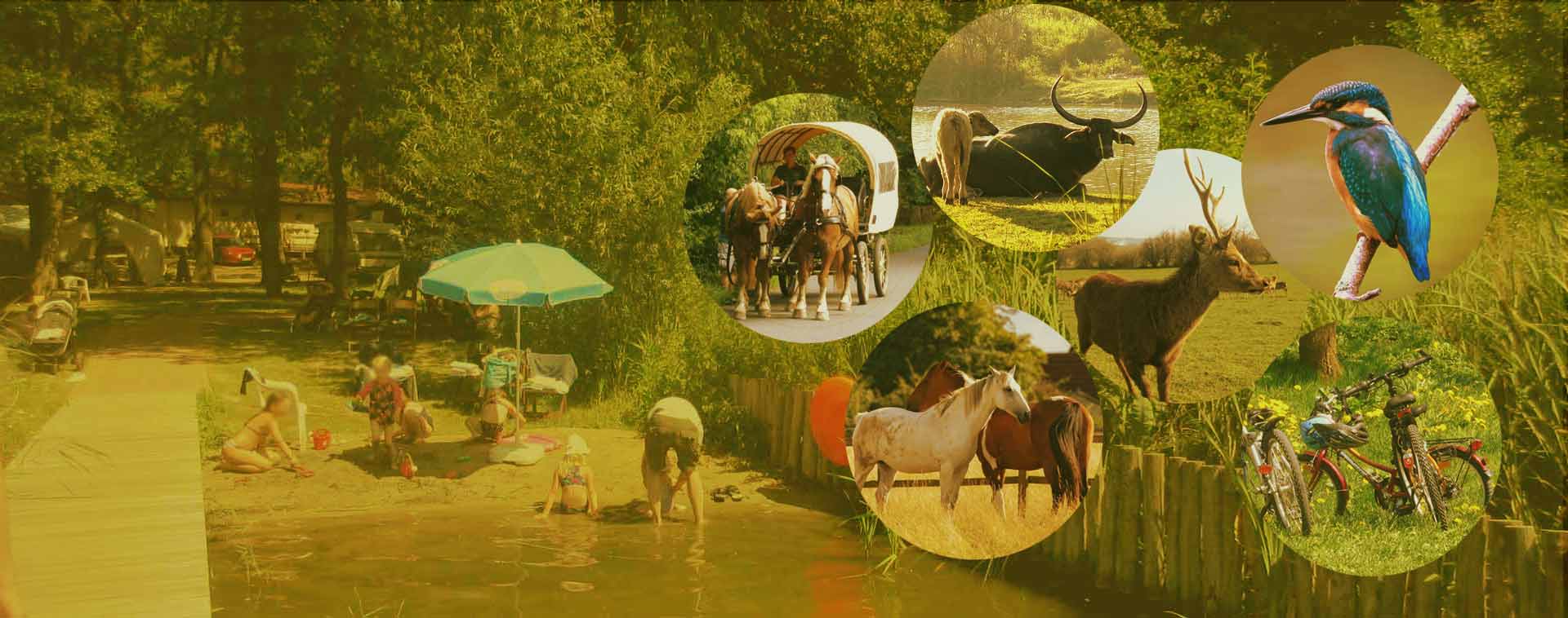 Ferienanlage Netzener See 5 urlaub netzener see Ferienpark