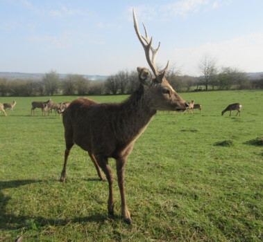 tolle Naturerlebnisse Freizeit & Kultur