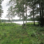 Terrassenblick Ferienhaus am See, Bungalows